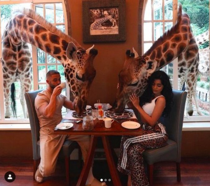 Звездна двойка от родния хайлайф закусва в компанията на жирафи в Кения