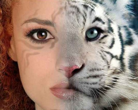 Скритите послания: Вижте кой е вашият тотем според датата на раждане