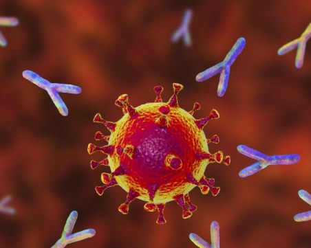 Проучване: Антителата срещу COVID-19 остават за 9-10 месеца в тялото