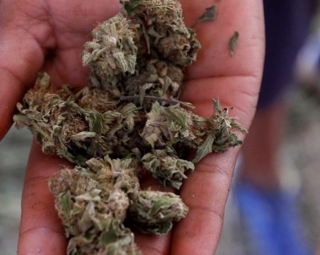 Хванаха четирима младежи с наркотици в Пазарджишко