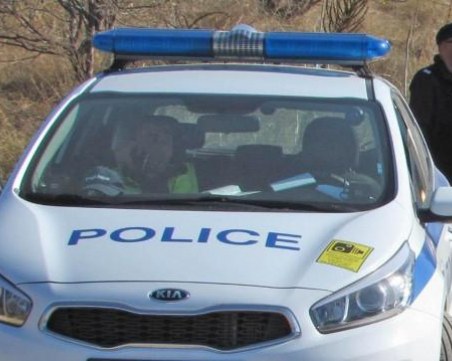 Камион, пълен с прасета, се обърна! Има животни паднали в дере