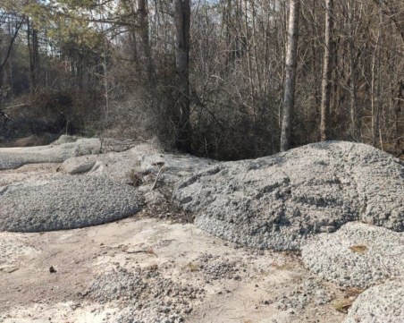 По пътя София - Варна: Бетонираха гора и дървета