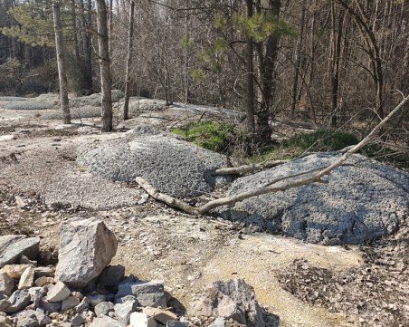 Глобиха фирмата, изляла тонове бетон върху дървета край магистрала 