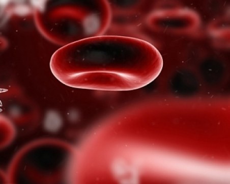 Стартира национална кампания за Световния Ден на Хемофилията