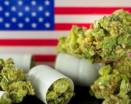 Ню Йорк легализира марихуаната за развлечение