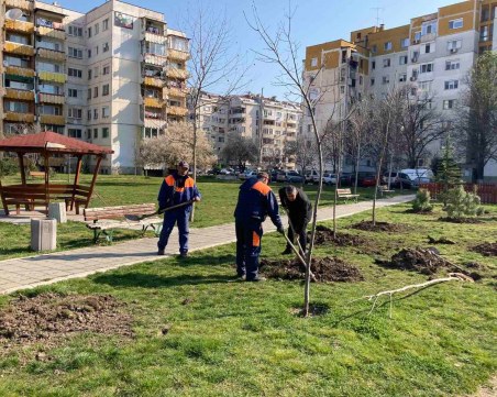Залесителна акция в парк 