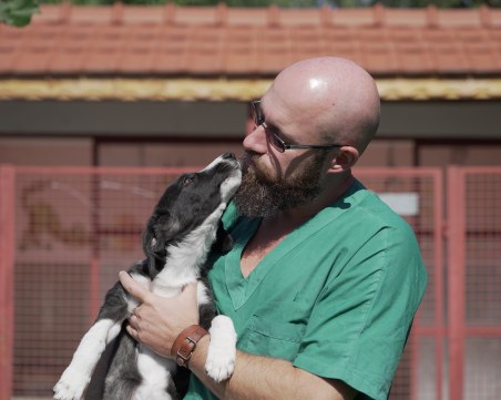 Общинският приют за кучета в Пловдив със специална инициатива през април