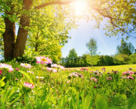 Слънце и високи температури през деня, вечерта се очакват валежи