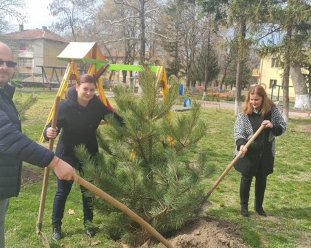 Три залесителни акции в район 