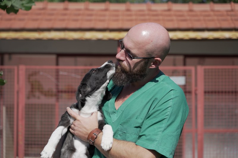 Общинският приют за кучета в Пловдив със специална инициатива през април