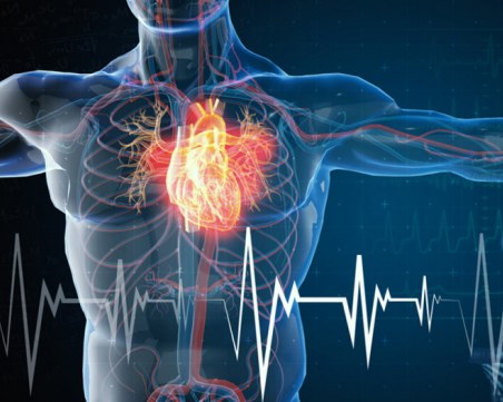 Люботипни факти за сърцето: Смехът е много полезен за работата му