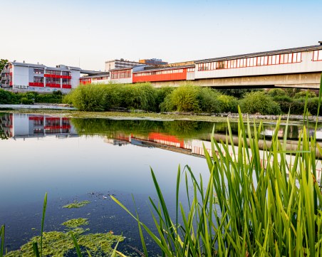 Синоптик: Слънцето се завръща окончателно в четвъртък, това е типична пролет