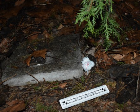 Спипаха двама дилъри в парк в Кючука, единият с 