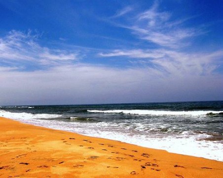 Морето изхвърли два мъртви кита, подозират натравяне с пластмаса