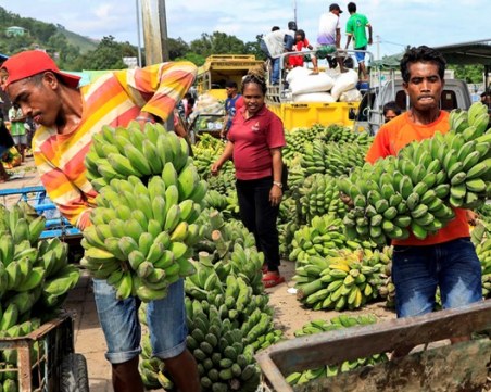 Най-популярният плод е заплашен от изчезване заради мистериозно заболяване