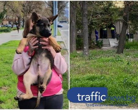 Историята на кученцето, тормозено в Кършияка, върви към хепи енд! Полицията извърши проверка на място