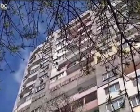 Пловдивчани скочиха в защита на изтормозено кученце в апартамент, полицията не може да намери жилището