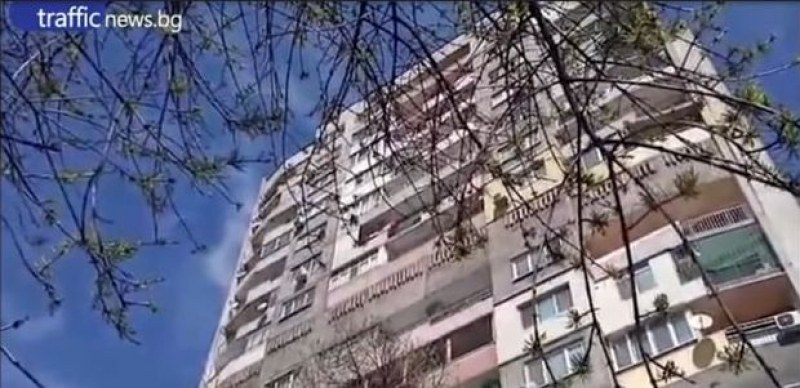 Пловдивчани скочиха в защита на изтормозено кученце в апартамент, полицията не може да намери жилището