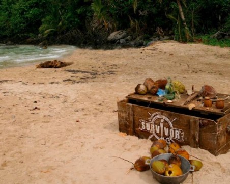 Приключенското риалити Survivor търси своите герои за нов сезон