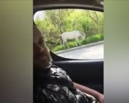 Конче кръстосва улиците в 