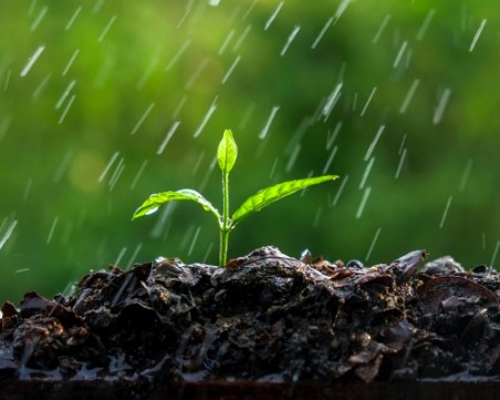 Облаци и дъжд очакват Пловдив днес