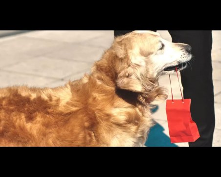 Уникално предложение за брак в Пловдив