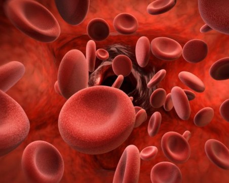 За 75% от хемофилиците по света все още не е осигурена адекватна грижа