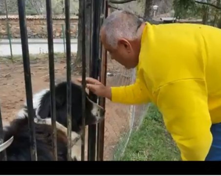 Кучето Борко първо посрещна Борисов в Бояна