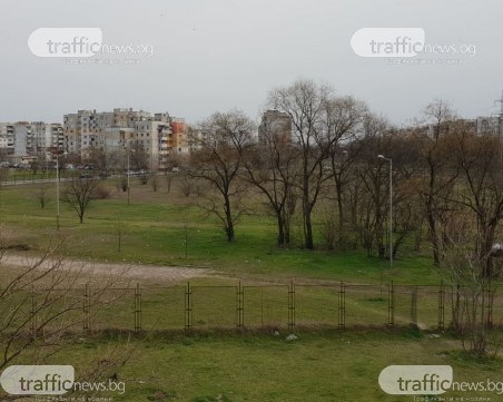 Над 200 жрици на любовта са глобени на Скобелева майка, превърнали паркинг в бардак
