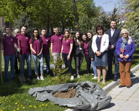 Бъдещи медици засадиха десетки борови дръвчета в Пловдив ВИДЕО