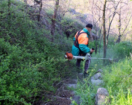Пловдивчани чистят Дановия хълм в Деня на Земята