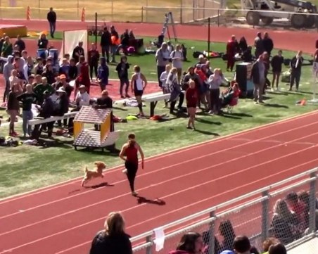 Куче спечели щафета в Юта