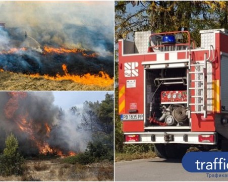Пловдивските огнеборци спасиха над 450 хиляди декари гори