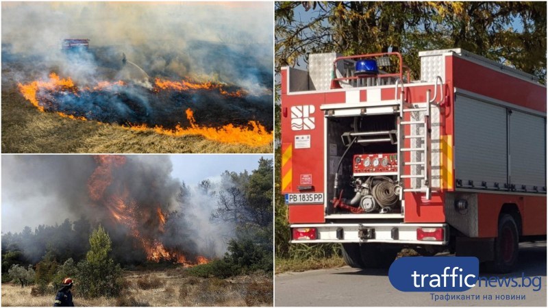 Пловдивските огнеборци спасиха над 450 хиляди декари гори