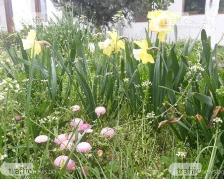 Цветница е – празник на цветята, надеждата и любовта