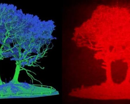Иновация: 3D холограма може да подобри безопасността на пътя, предупреждава за обекти