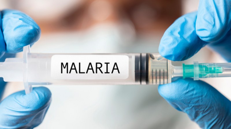Оксфордските учени са разработили потенциално нова ваксина срещу малария