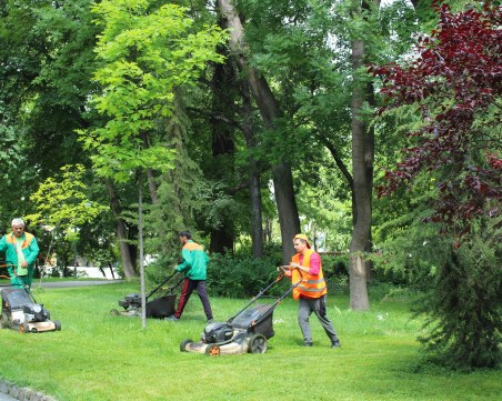 Продължава косенето на тревата в Пловдив, екипи работят и по празниците