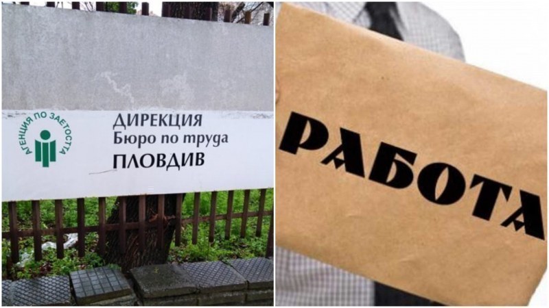 Търсите работа? Вижте свободните позиции в Пловдив и областта