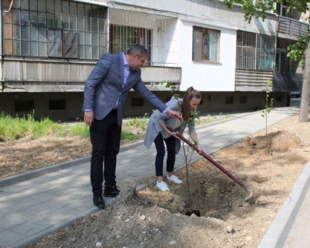 Нов тротоар и залесяване в зелените площи на 