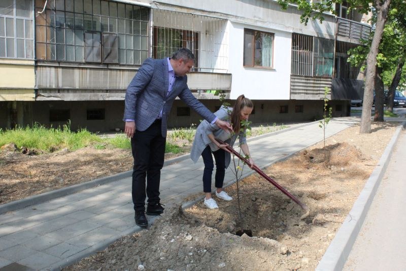 Нов тротоар и залесяване в зелените площи на