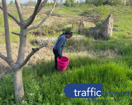 Роми събират охлюви по поляните в Тракия, грози ги глоба