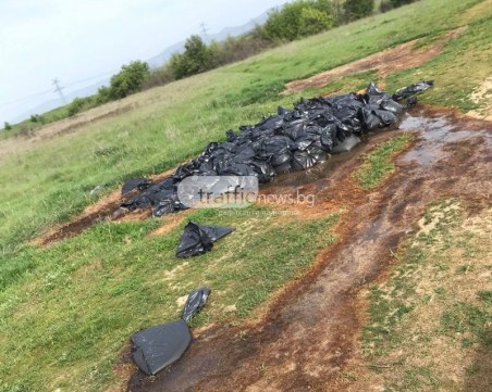 Чувалите край Долна Махала се оказаха пълни с риба, унищожават ги