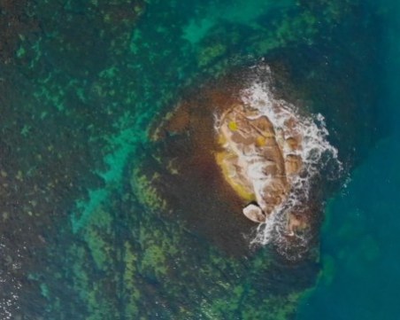 Д-р Константин Щерев: Под водите на Черно море може да има древен изгубен град