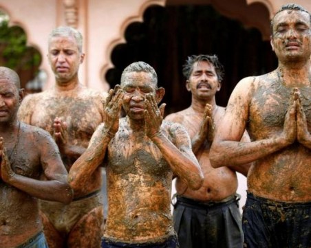 Индийски лекари алармираха за противопоказно лечение на Covid-19 с кравешка тор