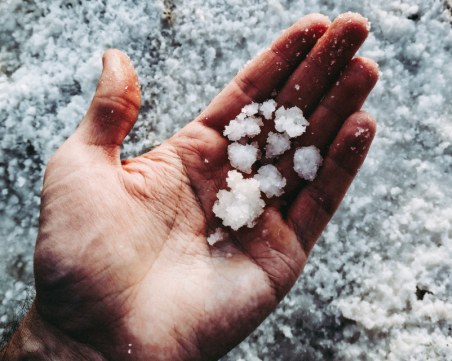 Лев Инс с жест към пострадалите от градушката в района на Пловдив