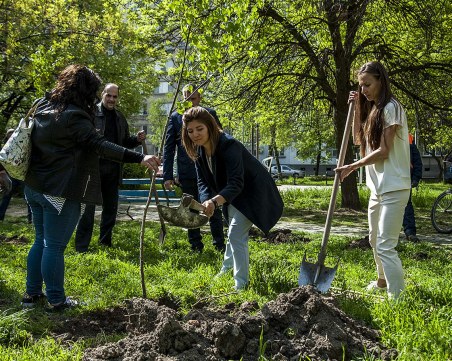 Нова еко инициатива обогатява кв. Гагарин с дървета и декоративна растителност