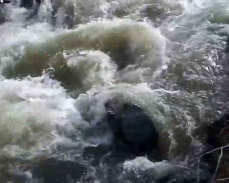 Огромни вълни разпениха Дунав