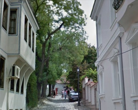 Оформят дърветата по ул. 