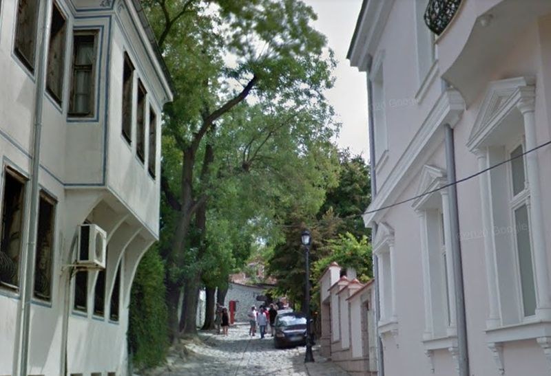 Оформят дърветата по ул.